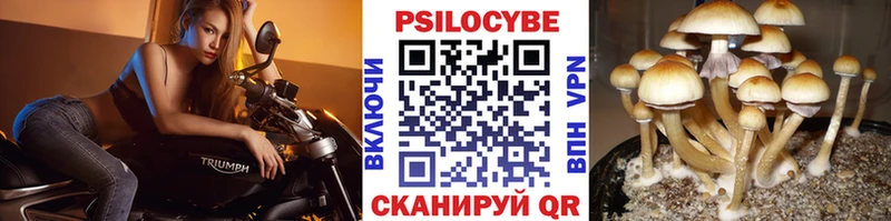 Галлюциногенные грибы Magic Shrooms Северодвинск